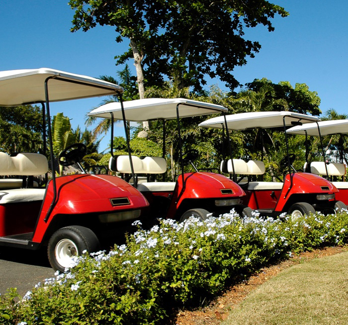 Golf Carts